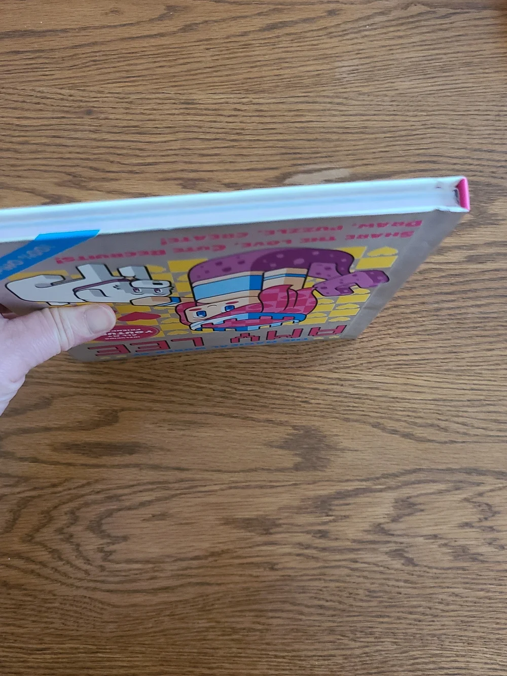 Amy Lee Magical World Activity Book